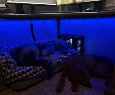 Cozy battle station