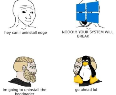 OS Preferences and Risks