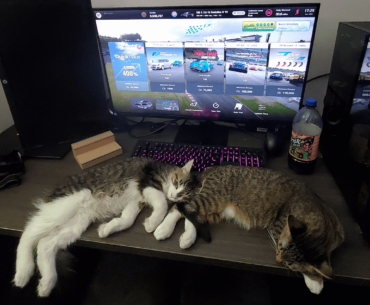 Rate my wrist rest.