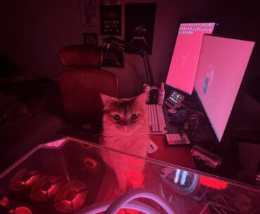Mind the Mess, She Was Doing Some Hardcore Gaming