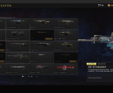 Which blackmarket gun should I get next?