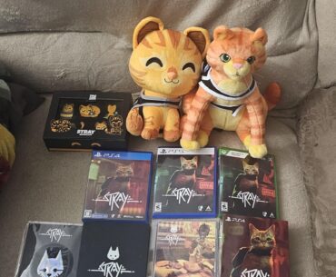 I might be a bit obsessed with Stray..