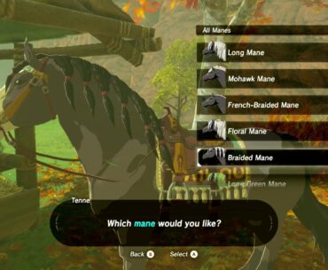 As an equestrian, I absolutely love that Breath of the Wild lets you customize your horses' mane and tail