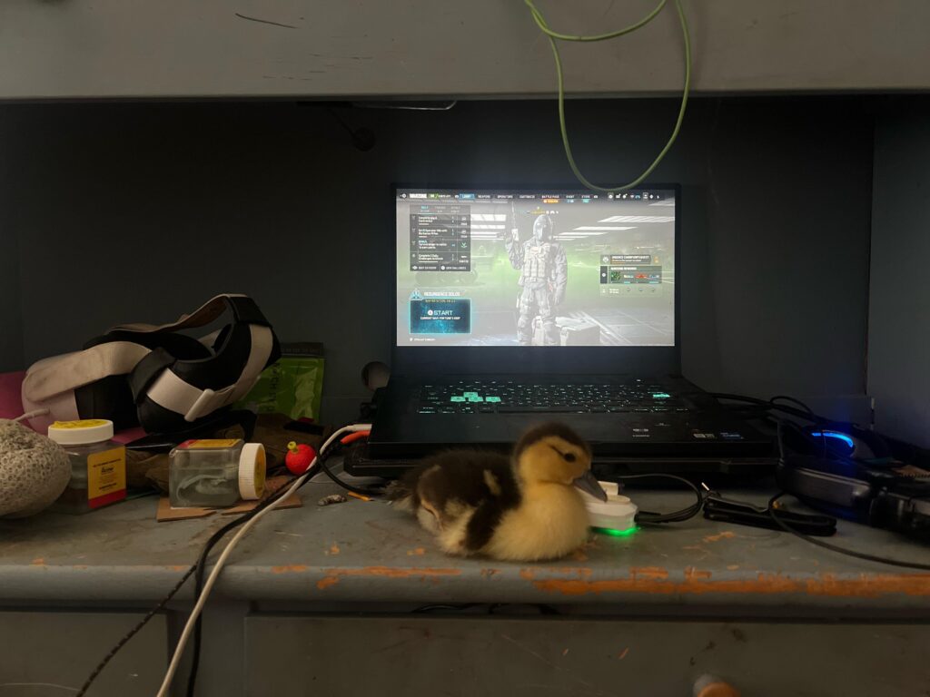 Rate my warzone setup