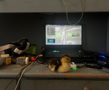 Rate my warzone setup