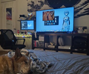 Pup (x2) on beddlestation, suggestions?