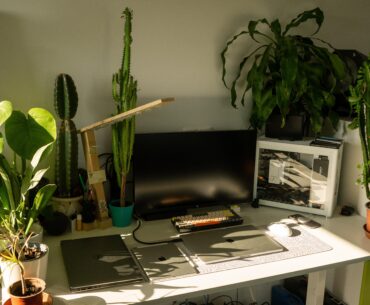 More plants!
