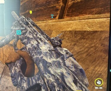 Gun identify
