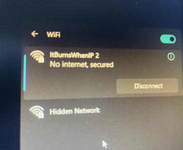 PC suddenly cannot access internet but still connects to networks