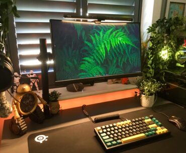 Everyone needs a robot on there desk