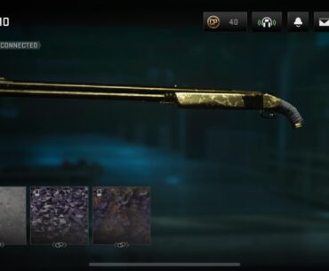 Got my first gold camo