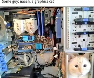 He is so efficient! And works fantastically in SCI (scaleable cat interface)