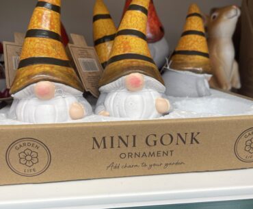 Went to the gonk store today and everyone knew you