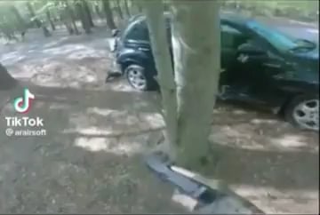 Finishing move irl