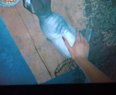 Best thing about Cyberpunk 2077.... You can pet the cats 😺😺..