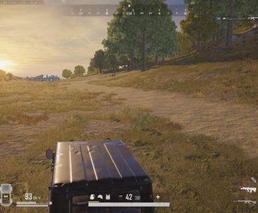 Lucky single shot.