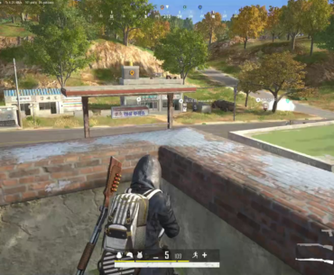 Shotgun Surprise