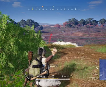Chicken Dinner