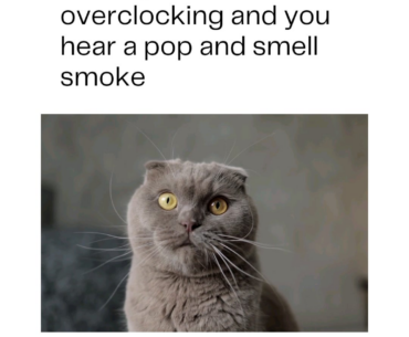 Whoopsie