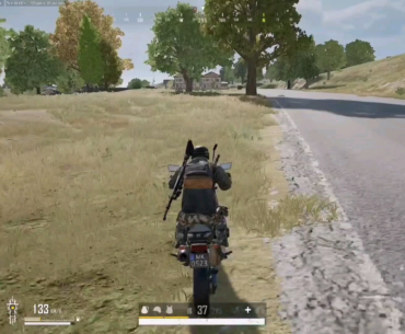Vehicle deaths are a roll of the dice