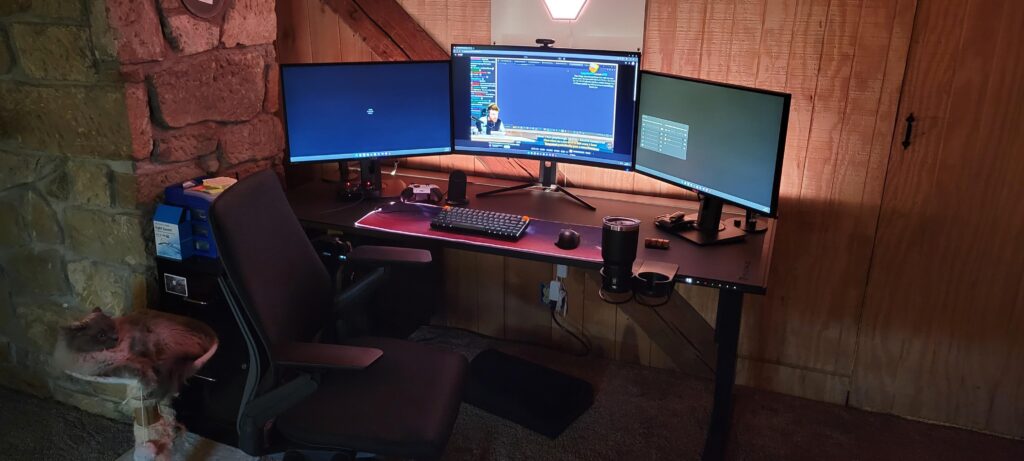 My simple battlestation complete with cat