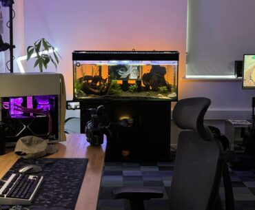I built a fishtank PC