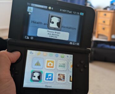 3DS is a survivor