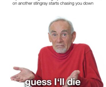 All of the damn time.