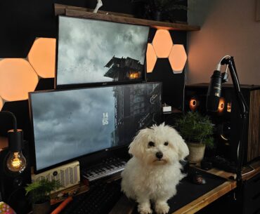 Just added a secondary screen and trimmed the plant next to the pc case