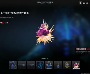 Zombie items from bundles? Can anyone tell me about these items, where to find and equip them?