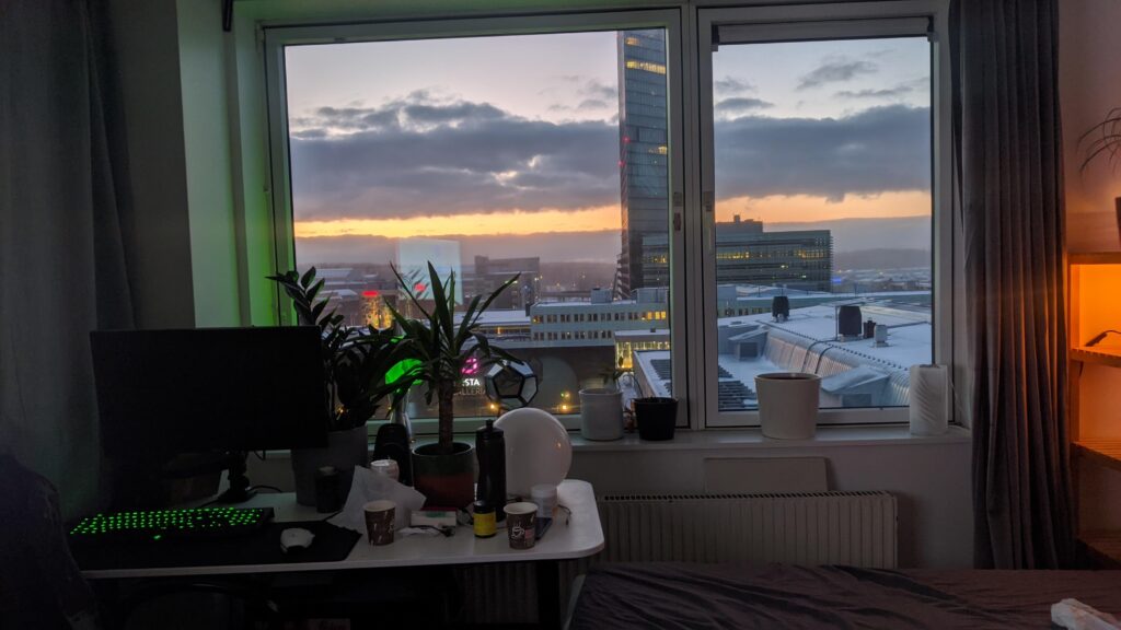 The view from my desk