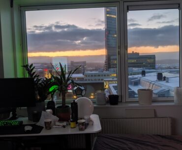 The view from my desk