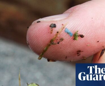 Forget cyberpsychosis, we could all be headed towards "polymerlzheimers" instead! No chrome required!  Guardian article: "Microplastics are infiltrating brain tissue, studies show: ‘There’s nowhere left untouched’"