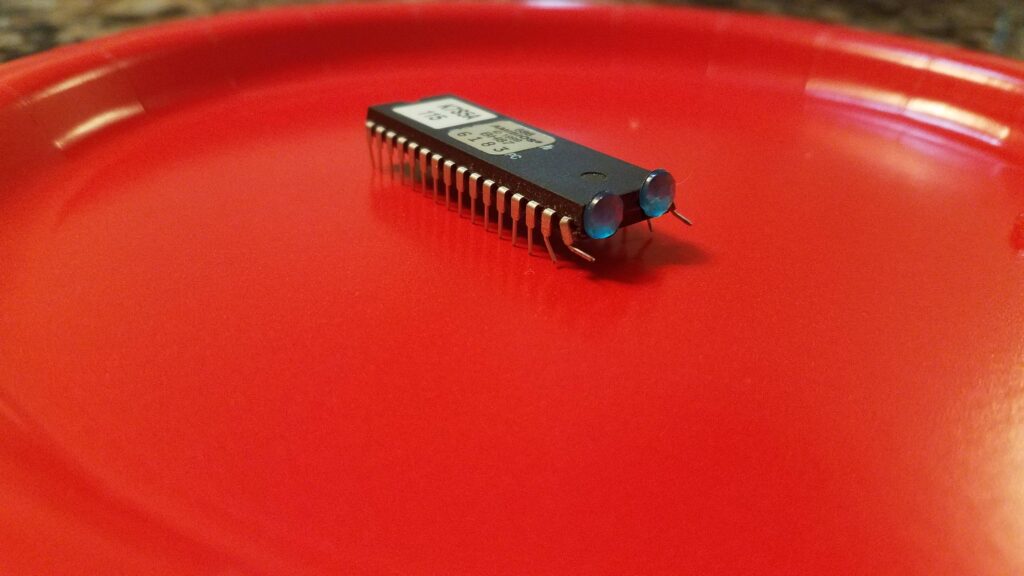 Guys I think I have a computer bug what should I do