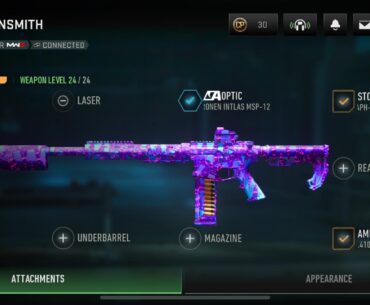 Crossmap shotgun build