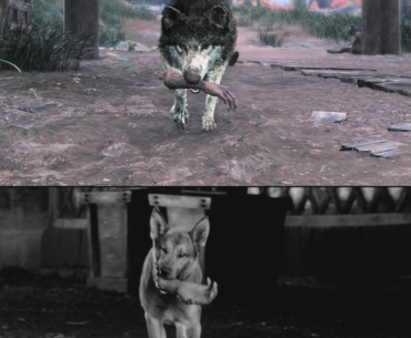 I discovered an Easter Egg while playing "Rise of the Ronin." In a village inhabited by bandits, a dog can be seen with a hand in its mouth as a snack. It's the same scene from the Kurosawa movie "Yojimbo" about a Ronin who goes into a town full of bandits to bring justice.