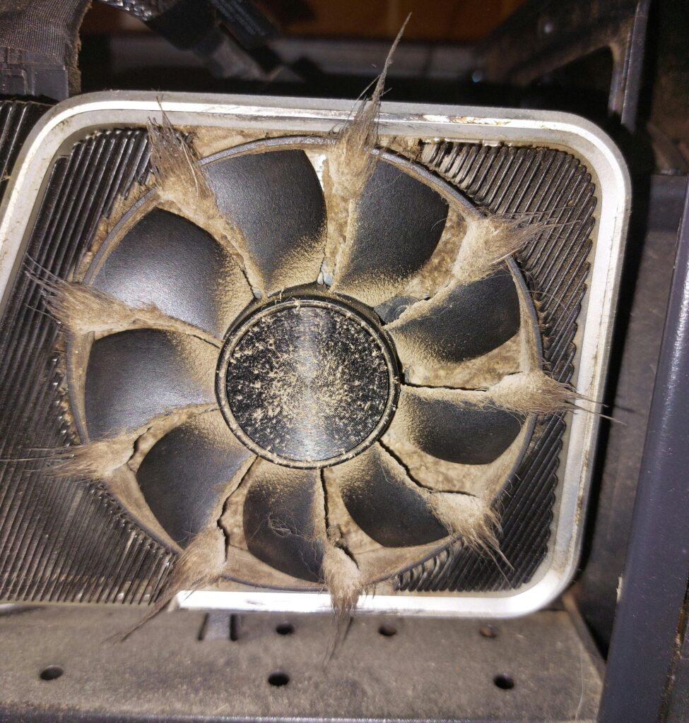 Bibically accurate RTX 3060Ti