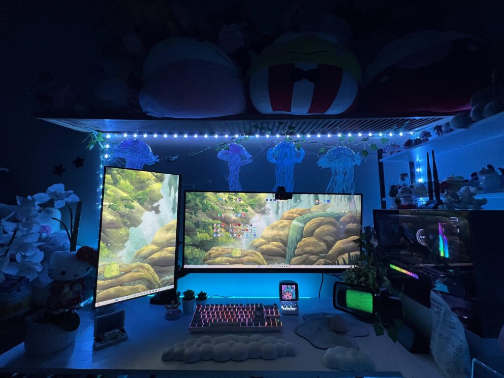 New set up