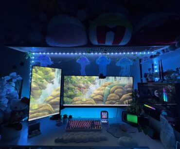 New set up