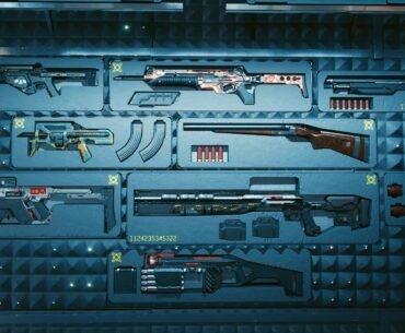 What firearm is your favorite? In terms of looks and/or gameplay