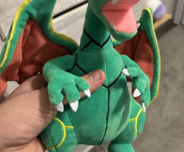 What should I call him? (pokemon)