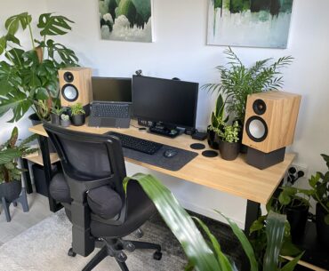 Work & Plants & Hi-Fi