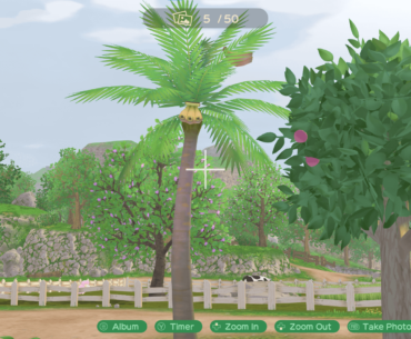 Is that banana fruit on coconut tree?
