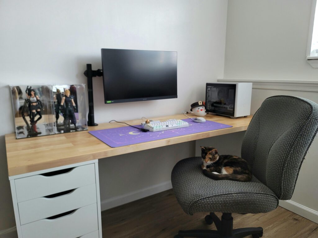 The Cat Makes the Battlestation feel a bit more Completed