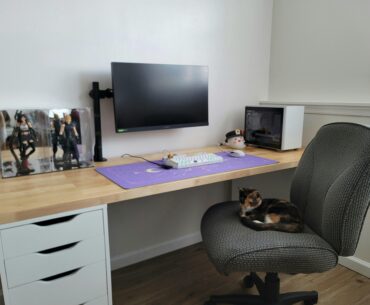 The Cat Makes the Battlestation feel a bit more Completed