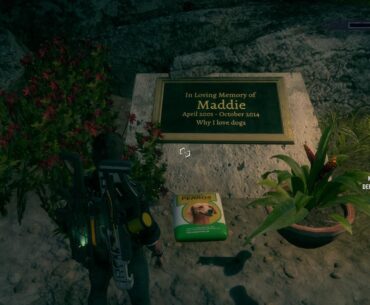 In Just Cause 4, there are several memorials dedicated to deceased relatives, pets, and developers scattered across the map :(