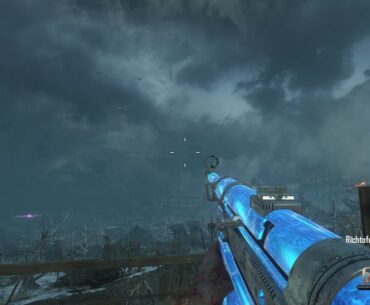 Origins PAP Camo BO2 vs BO3