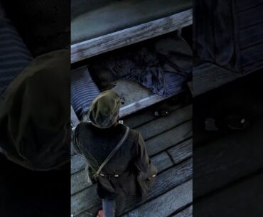 You came here for this mission with sadie. but didn't noticed this - RDR2