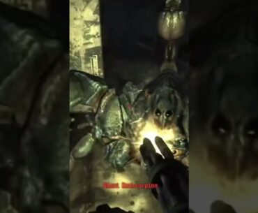 These bugs are different #fallout #gaming #radroach #fallout3 #falloutgame #fpsgames #fps