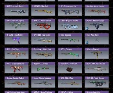 Which one is your favourite ?